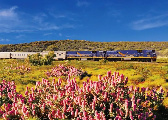 Estrella24 Living Sydney * Herne